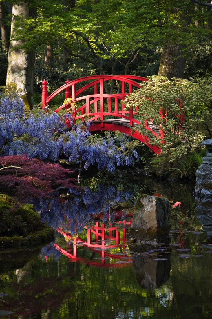 Japanese Garden The Hague, Netherlands