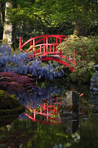 Japanese Garden The Hague