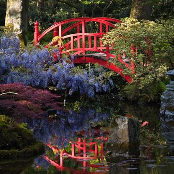 Japanese Garden The Hague, Netherlands