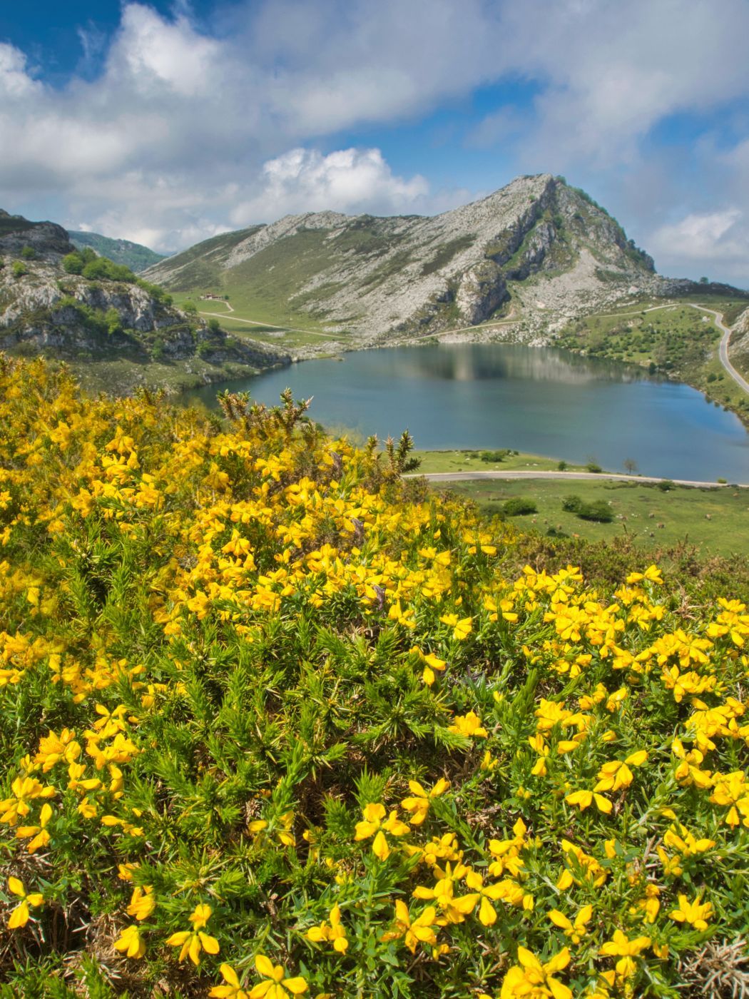 Lake Enol, Covadonga, Spain