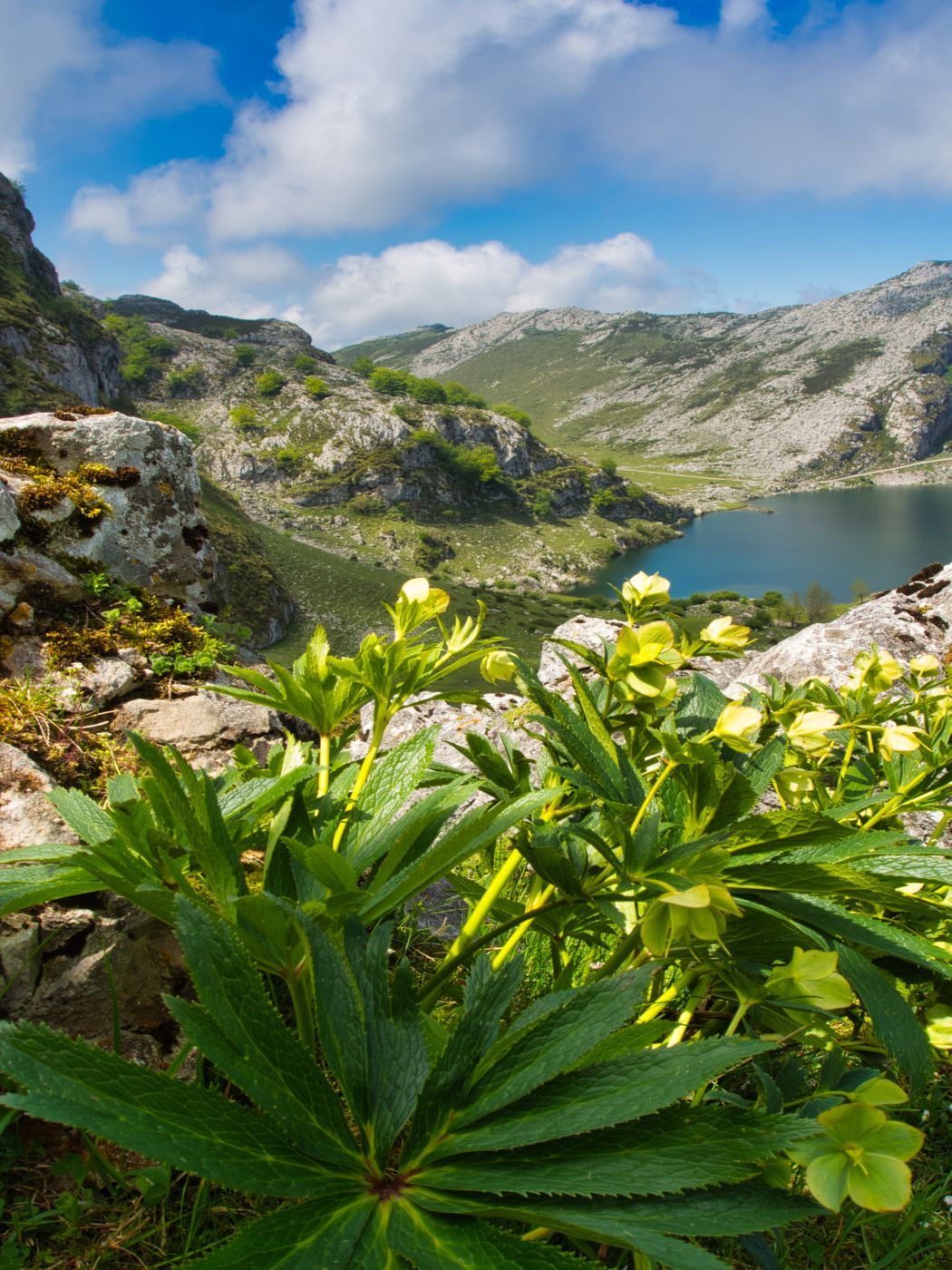 Lake Enol, Covadonga, Spain