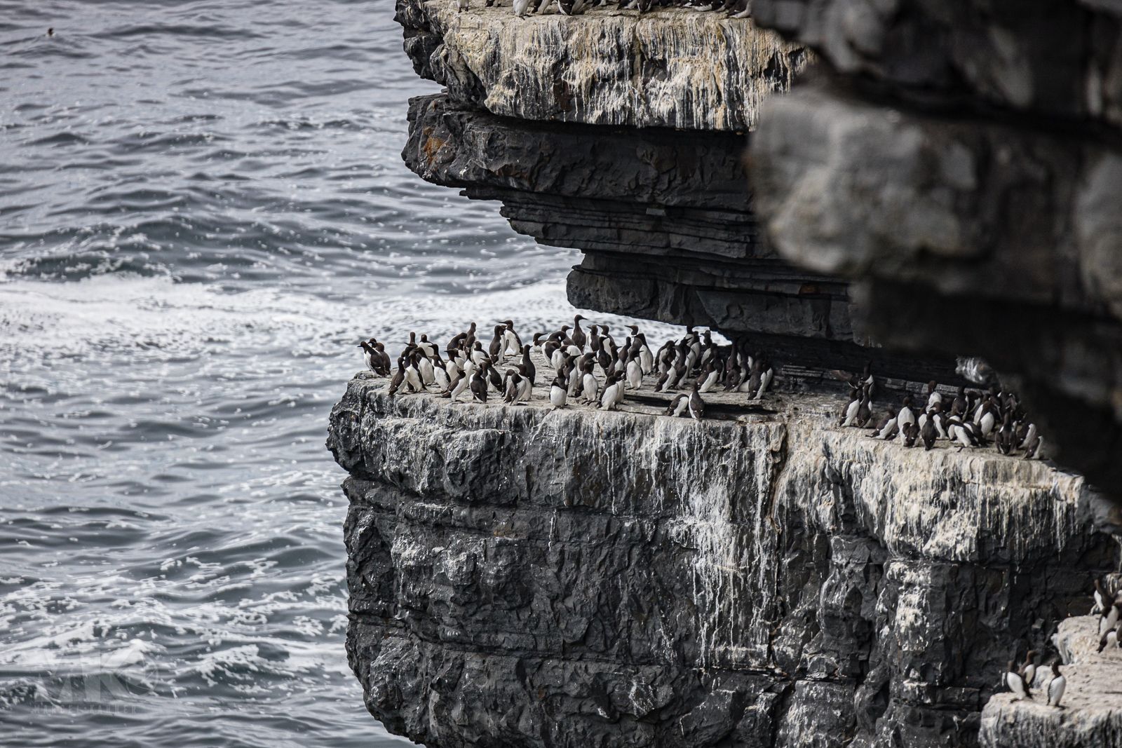 Loop Head, Ireland