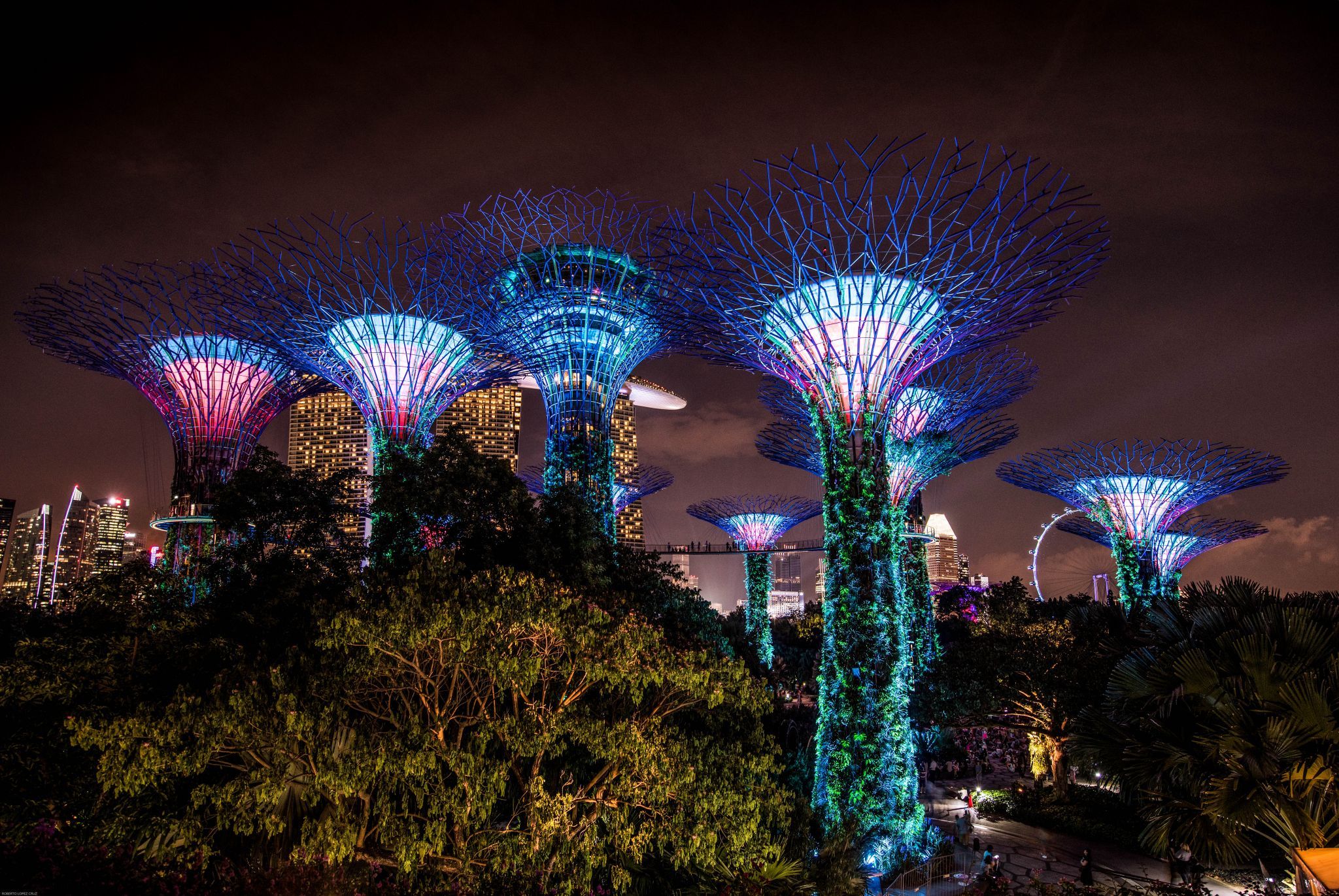 Singapore Skyline (from Marina Barrage), Singapore