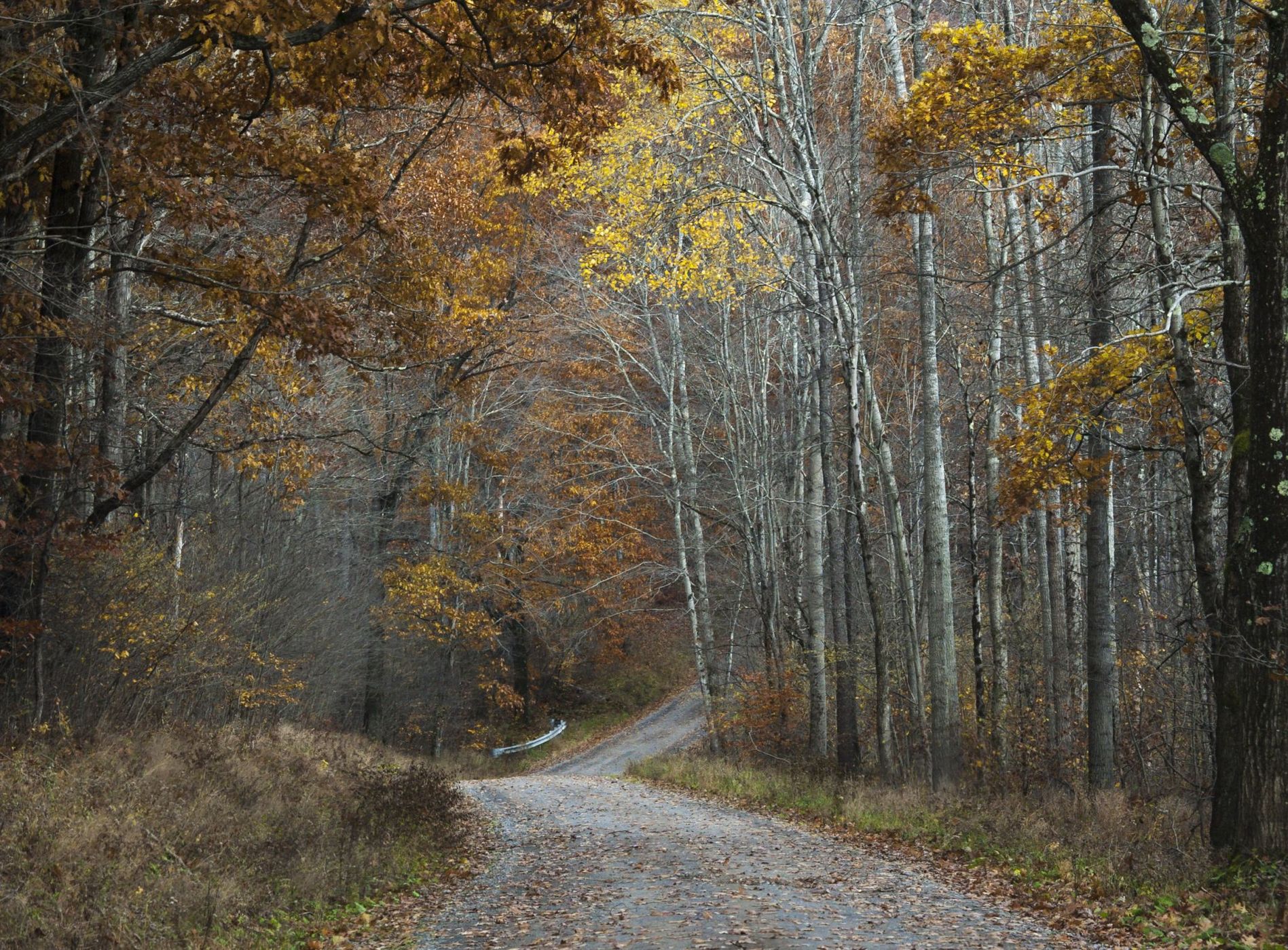 Millstone Road, USA