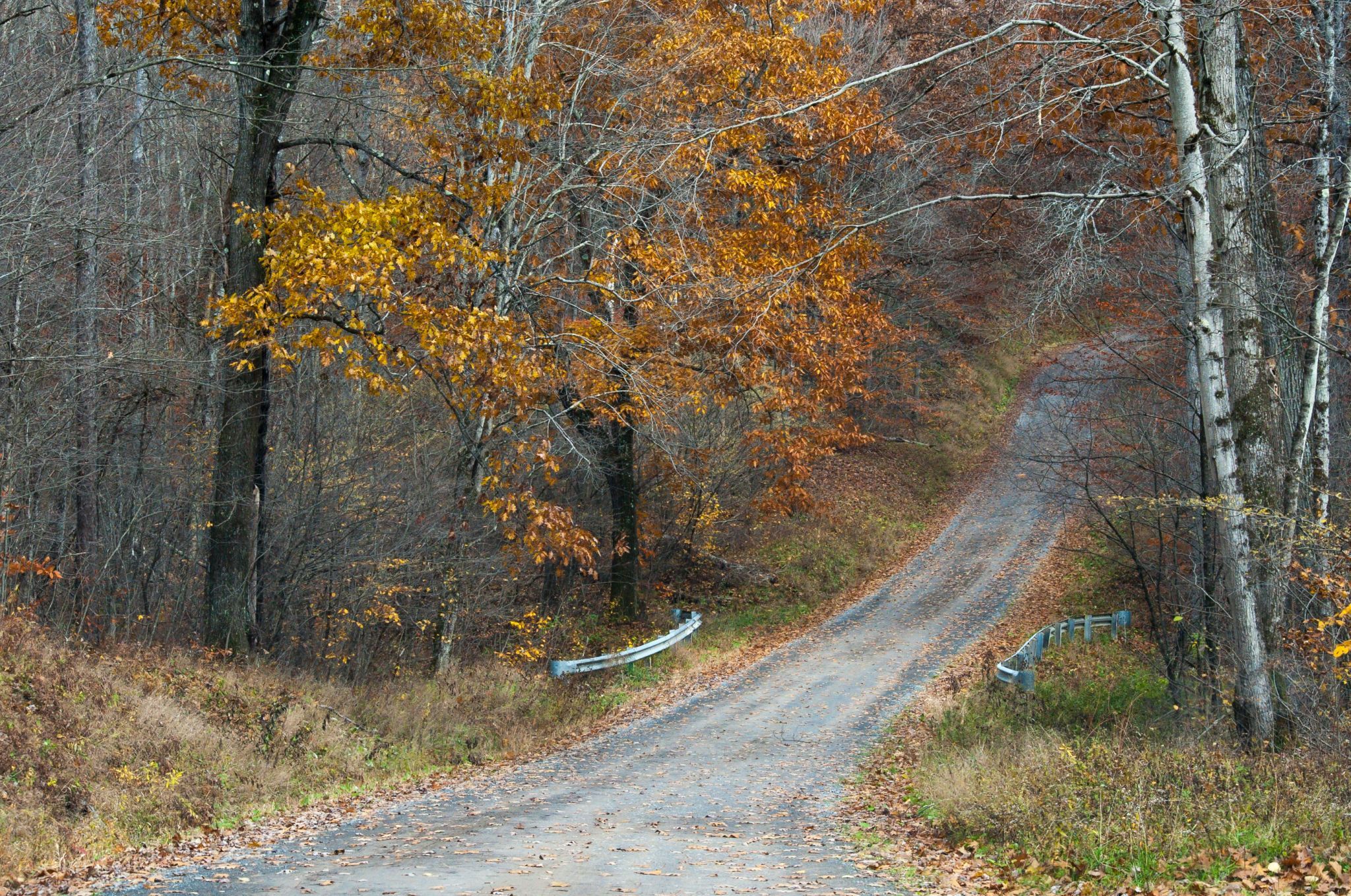 Millstone Road, USA