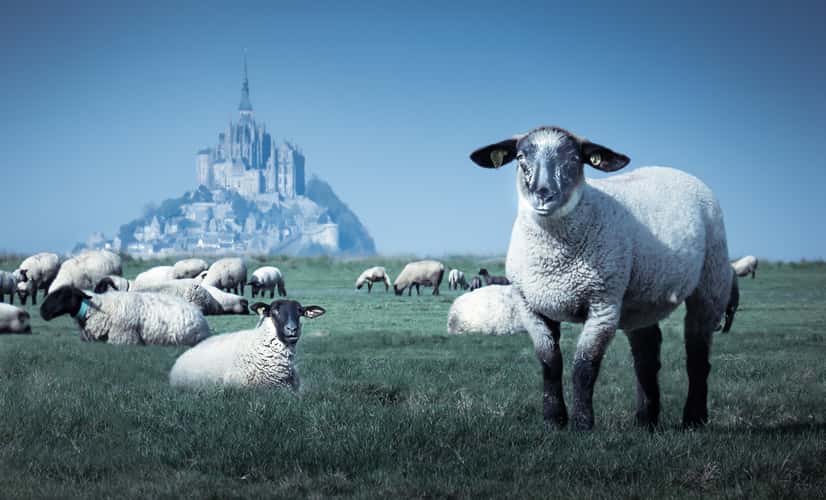 mont saint michel