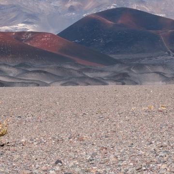 near Antofagasta de la Sierra, Argentina