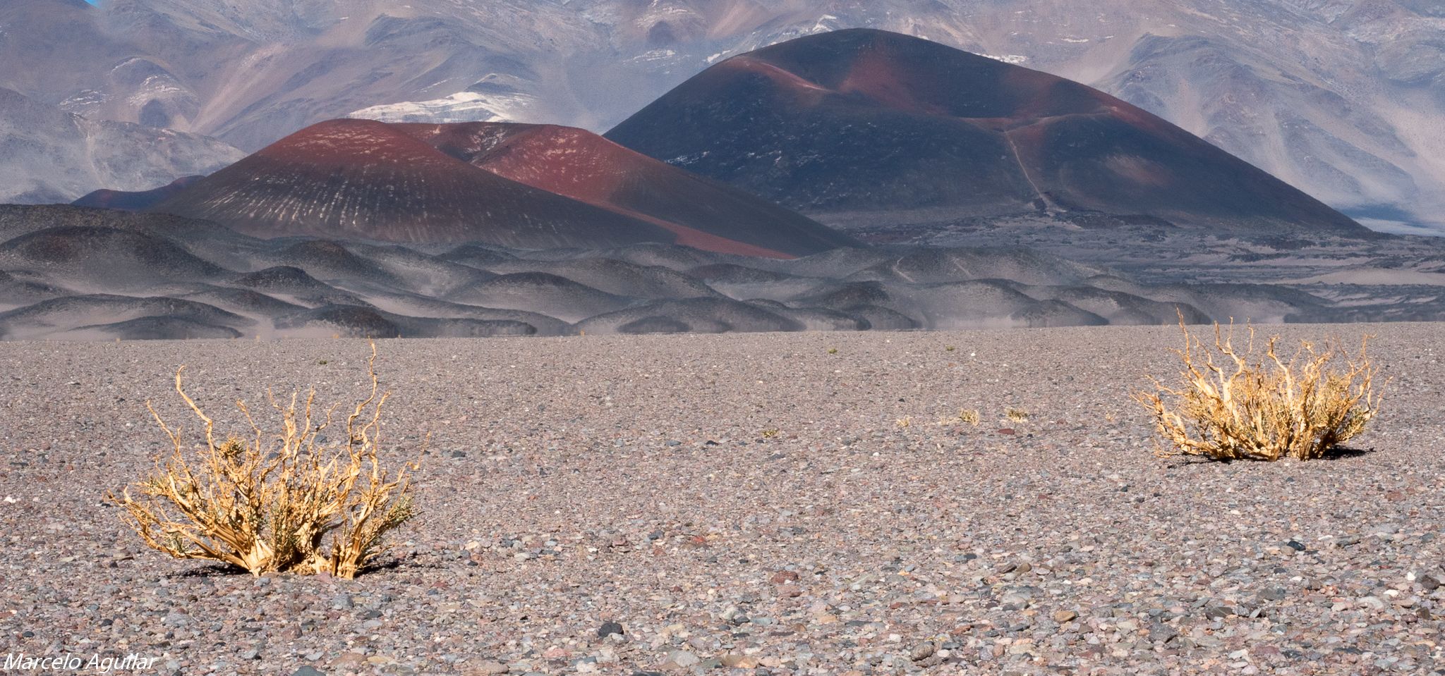 near Antofagasta de la Sierra, Argentina