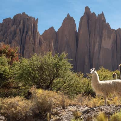 Near Tupiza, Bolivia