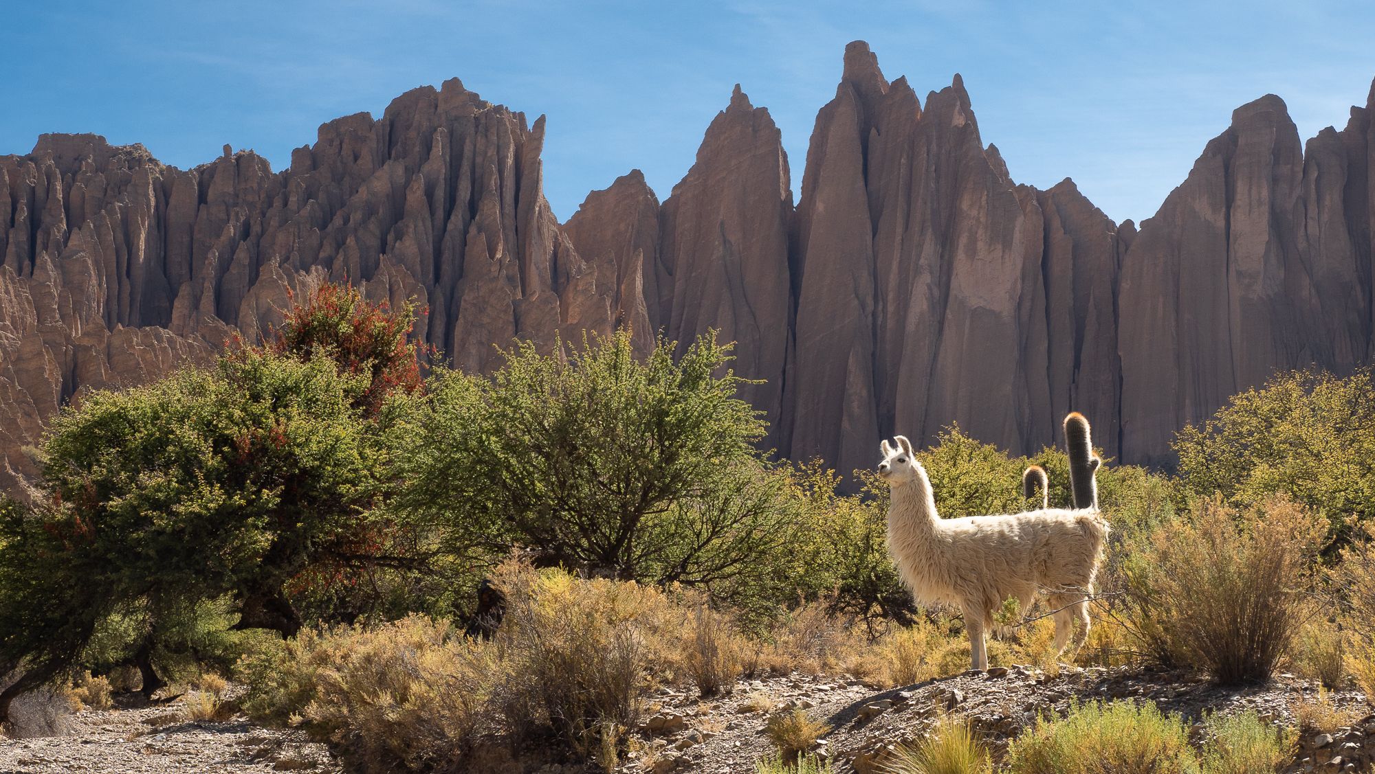 Near Tupiza, Bolivia