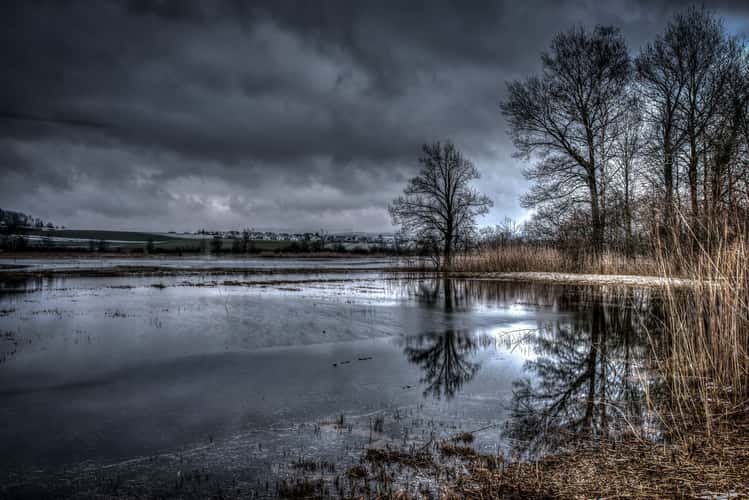 Neeracherried