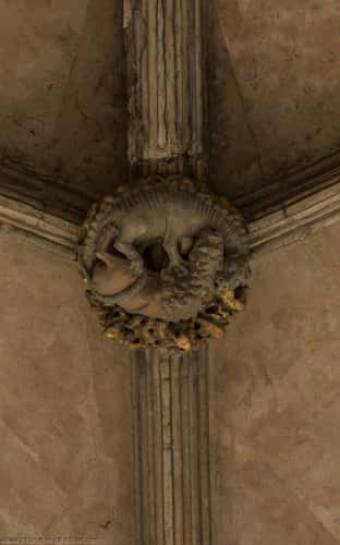 Norwich Cathedral