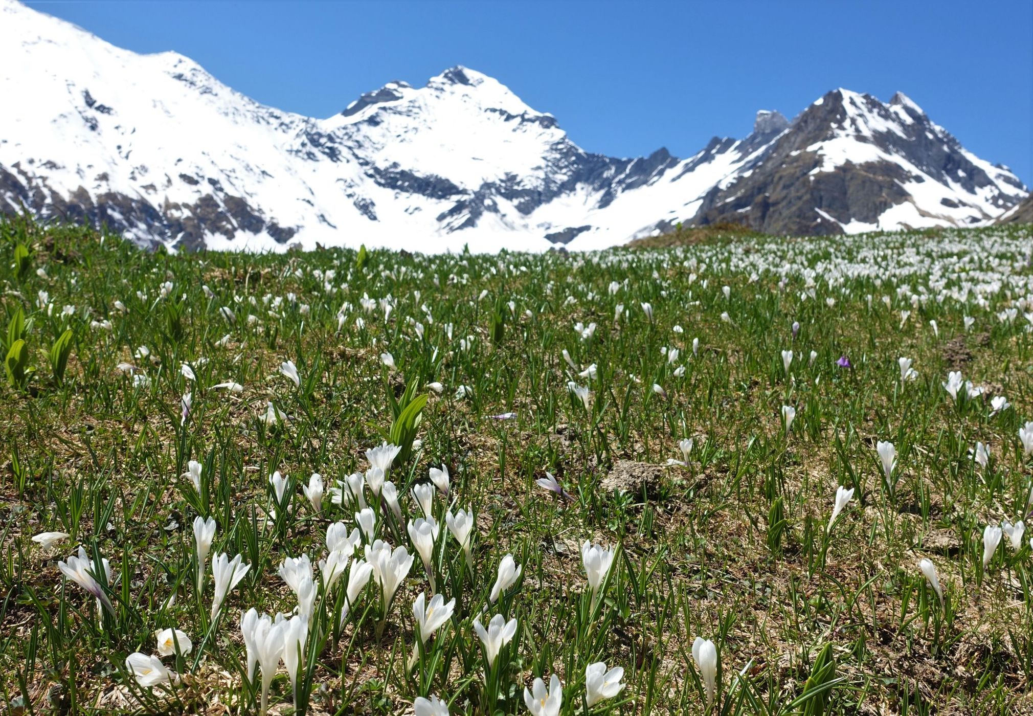 Obererbs, Switzerland