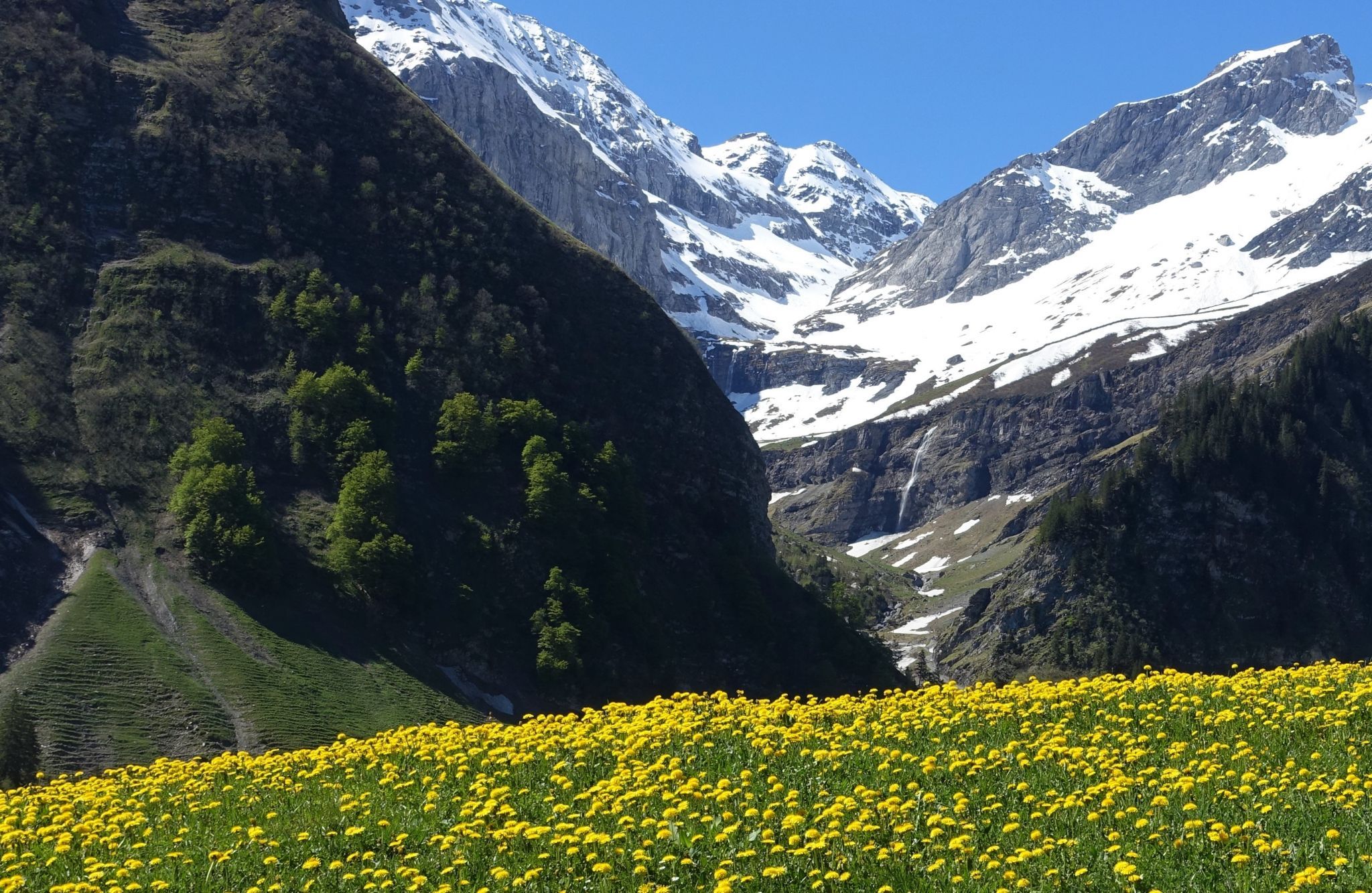Obererbs, Switzerland
