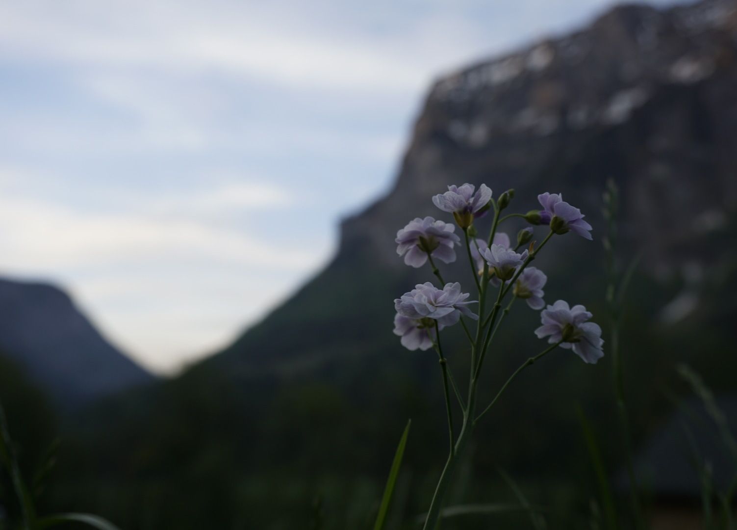 On the hill behind the Vacation House 'Knusperhütte', Austria
