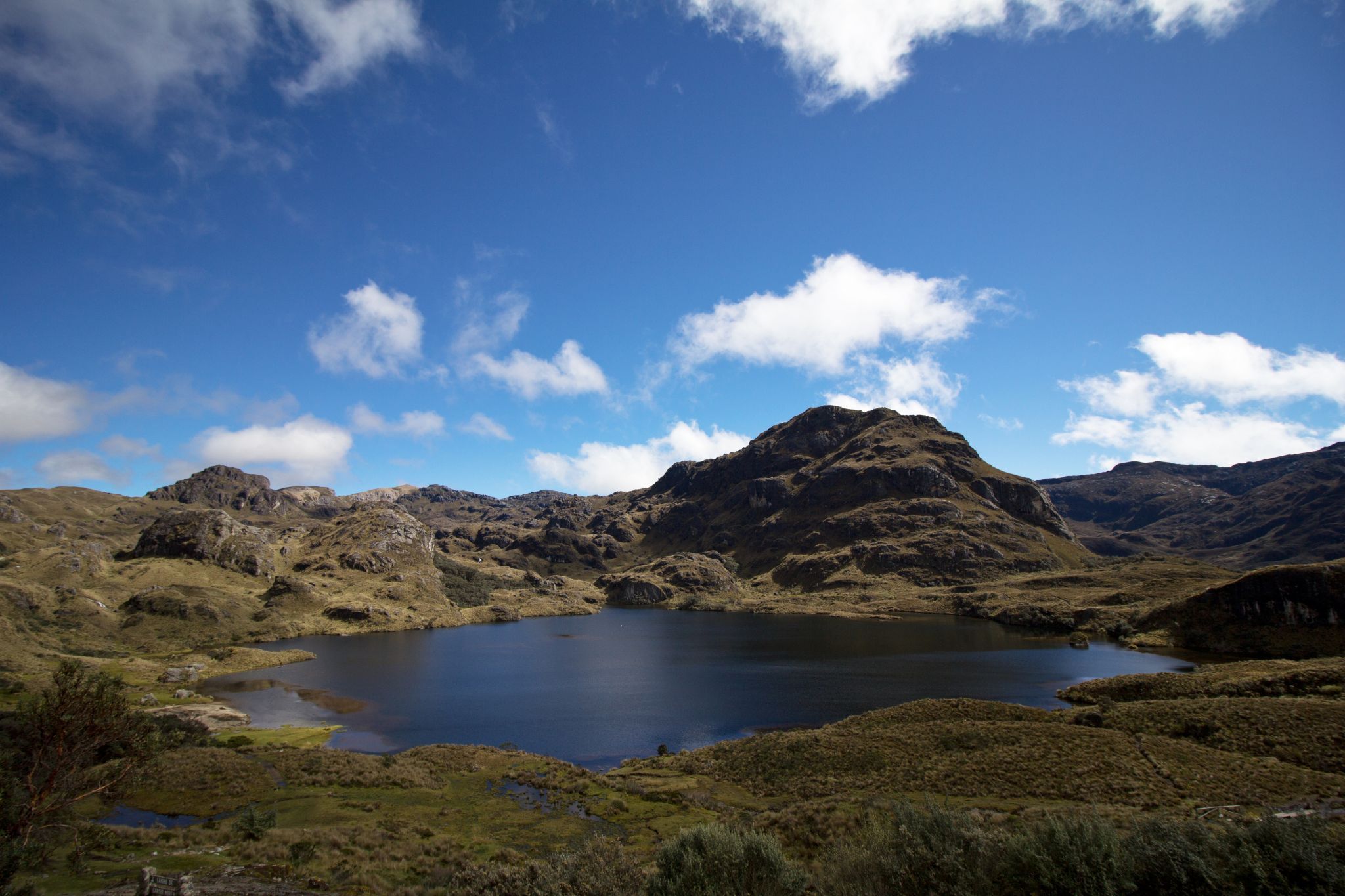 Parque Nacional Cajas (Laguna Toreadora), Ecuador