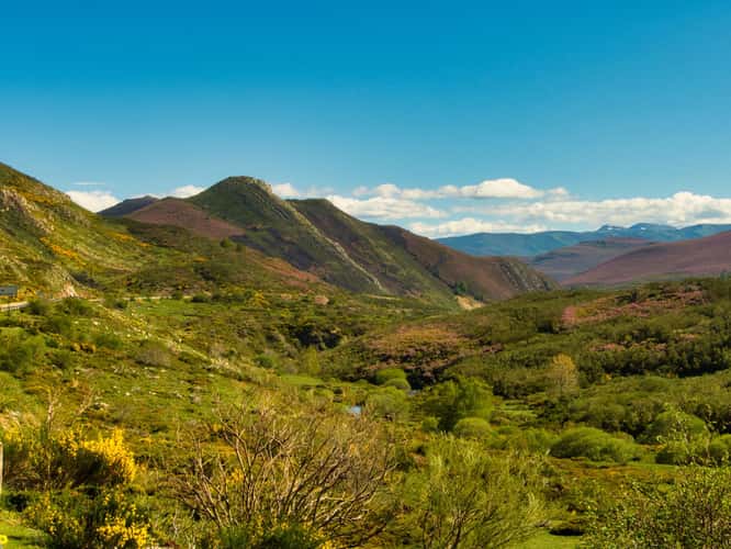 Peñas and Picos