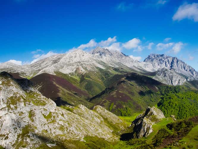 Peñas and Picos