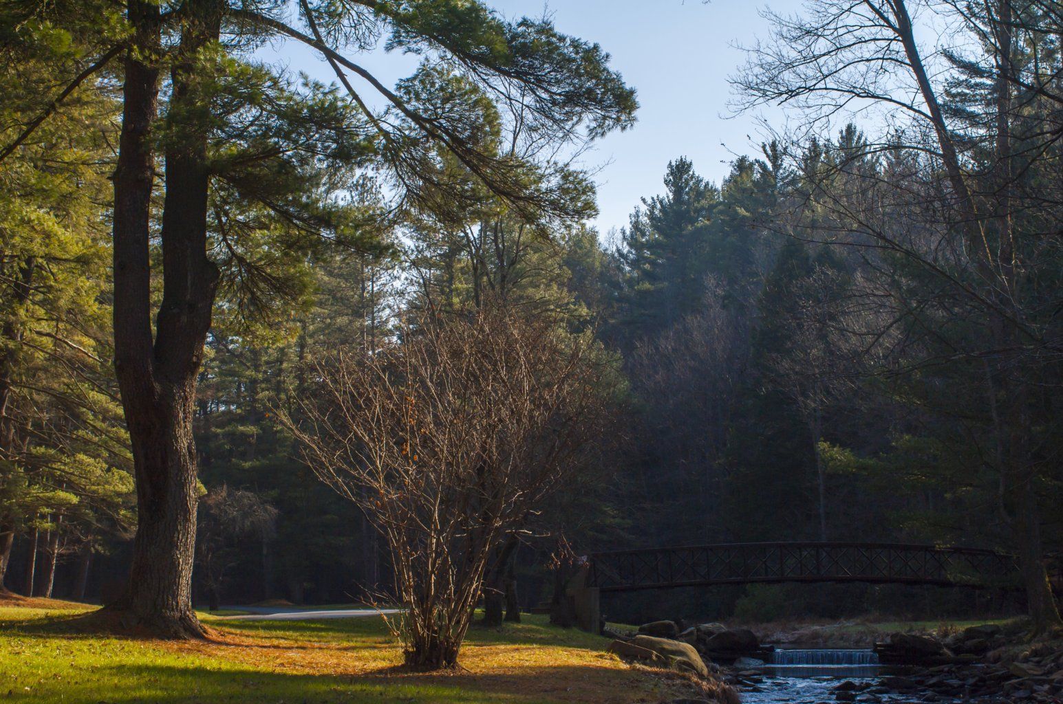 Picnic Spot, USA