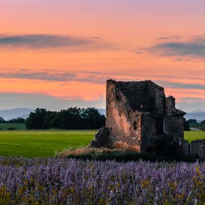 Plateau de Valensole, evening twilight, France