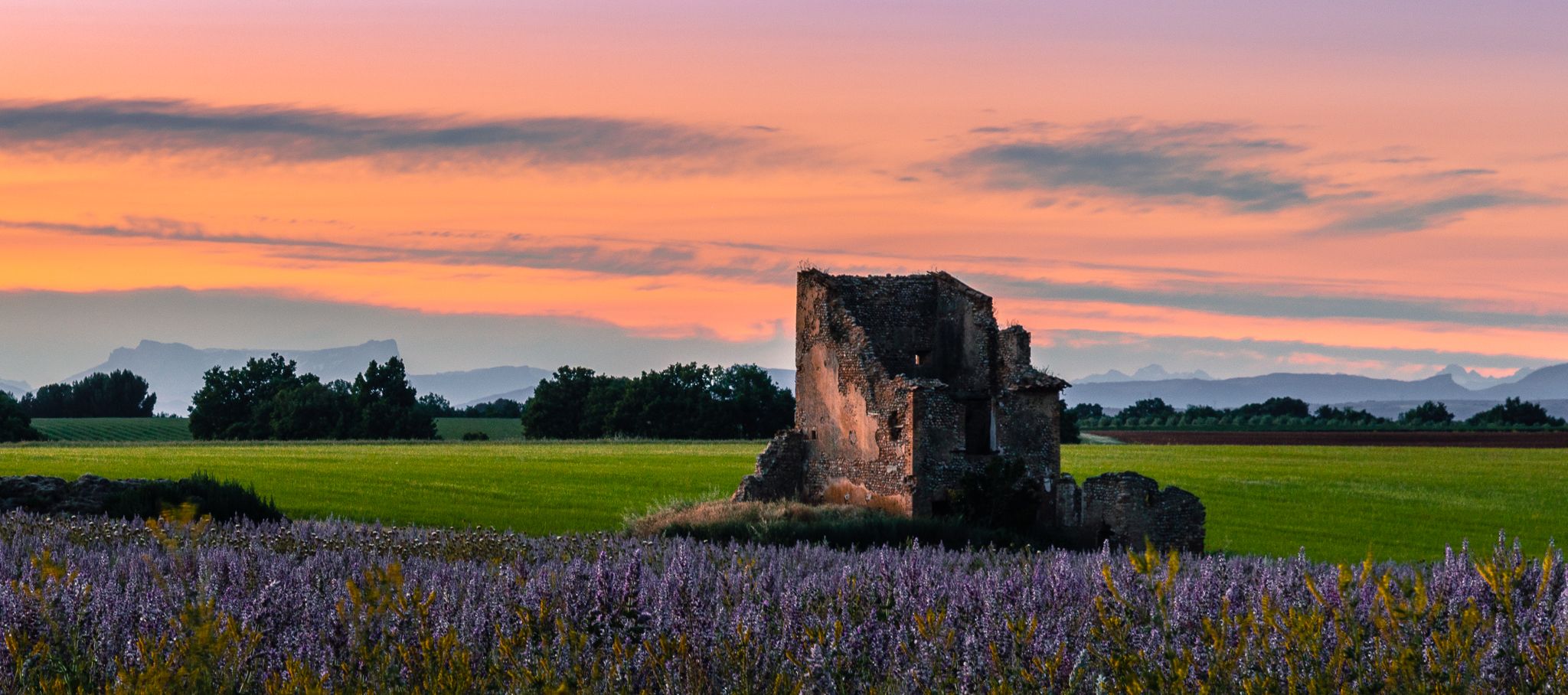 Plateau de Valensole, evening twilight, France