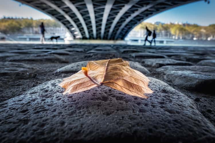 Pont de l'Université - Rhône