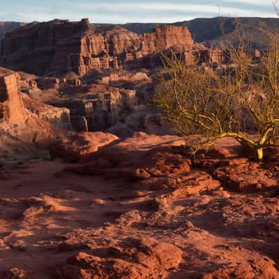 Quebrada de las conchas, Argentina