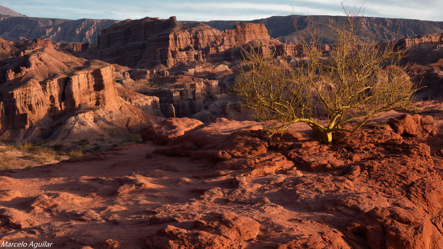 Quebrada de las conchas, Argentina