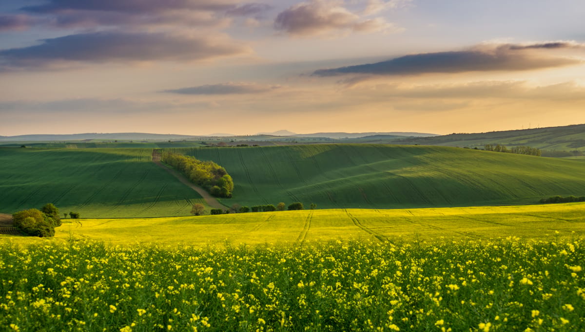 Rolling hills, Moravia, Czech Republic