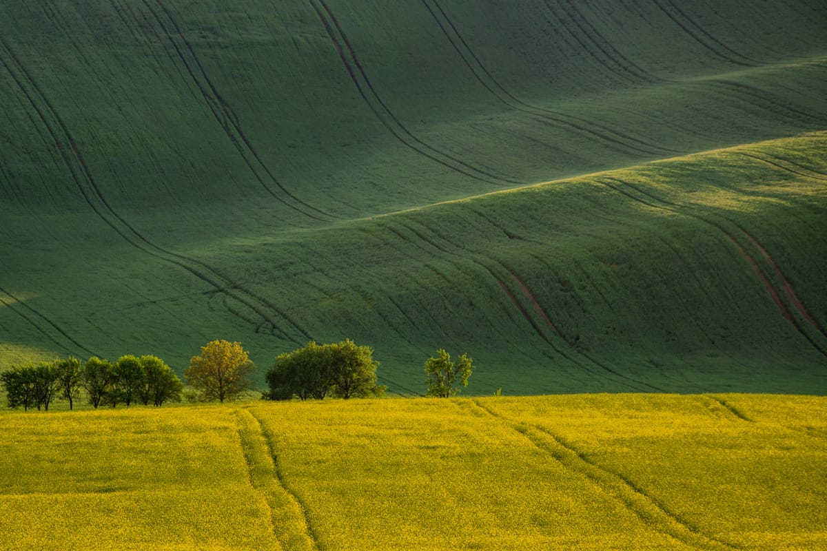 Rolling hills, Moravia, Czech Republic