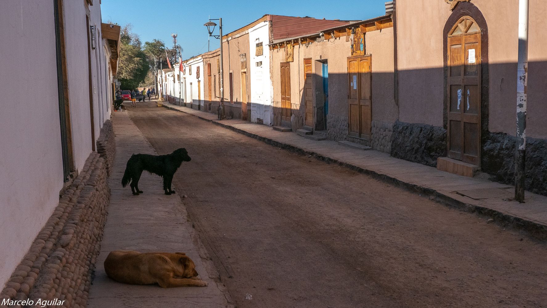 San Pedro de Atacama (SPA), Chile