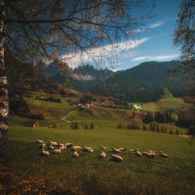 Santa Maddalena - Funes - South Tyrol - Italy, Italy