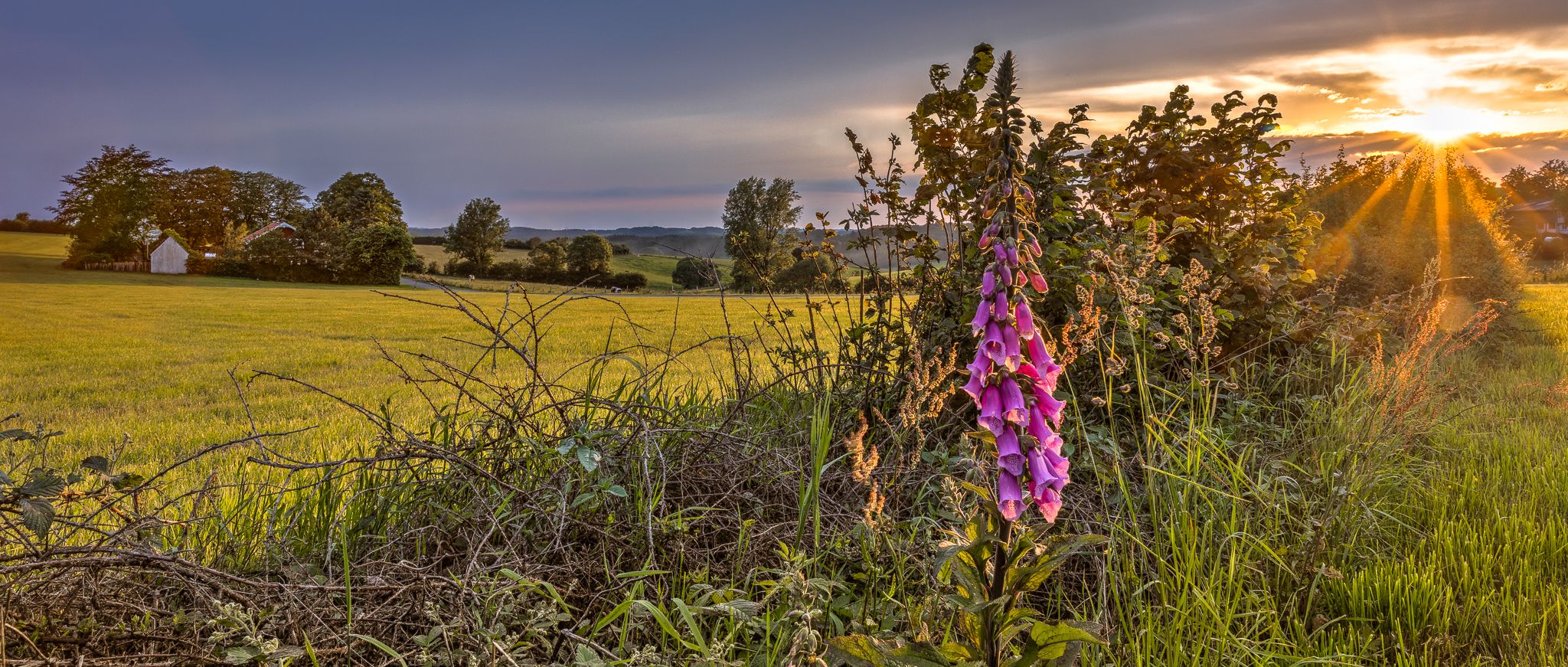 Sauerland near Breckerfeld, Germany