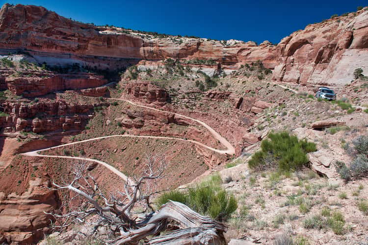 Shafer trail