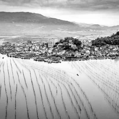 Shajiang seaweed farming poles drone Xiapu, China