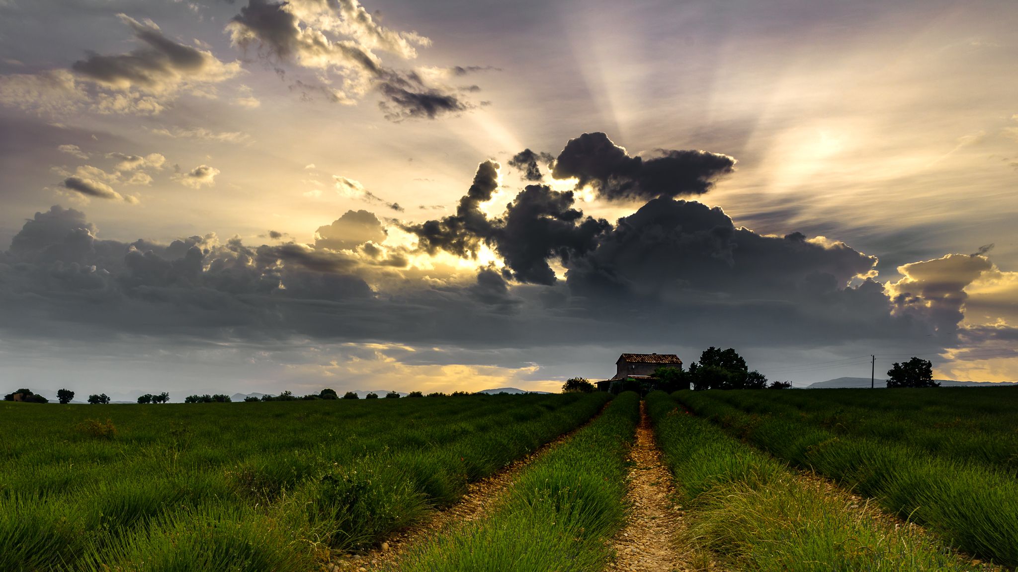 A few minutes after sunrise..., Plateau de Valensole, France