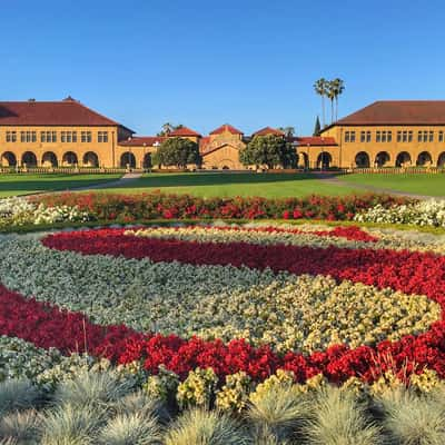 Stanford University, California, USA