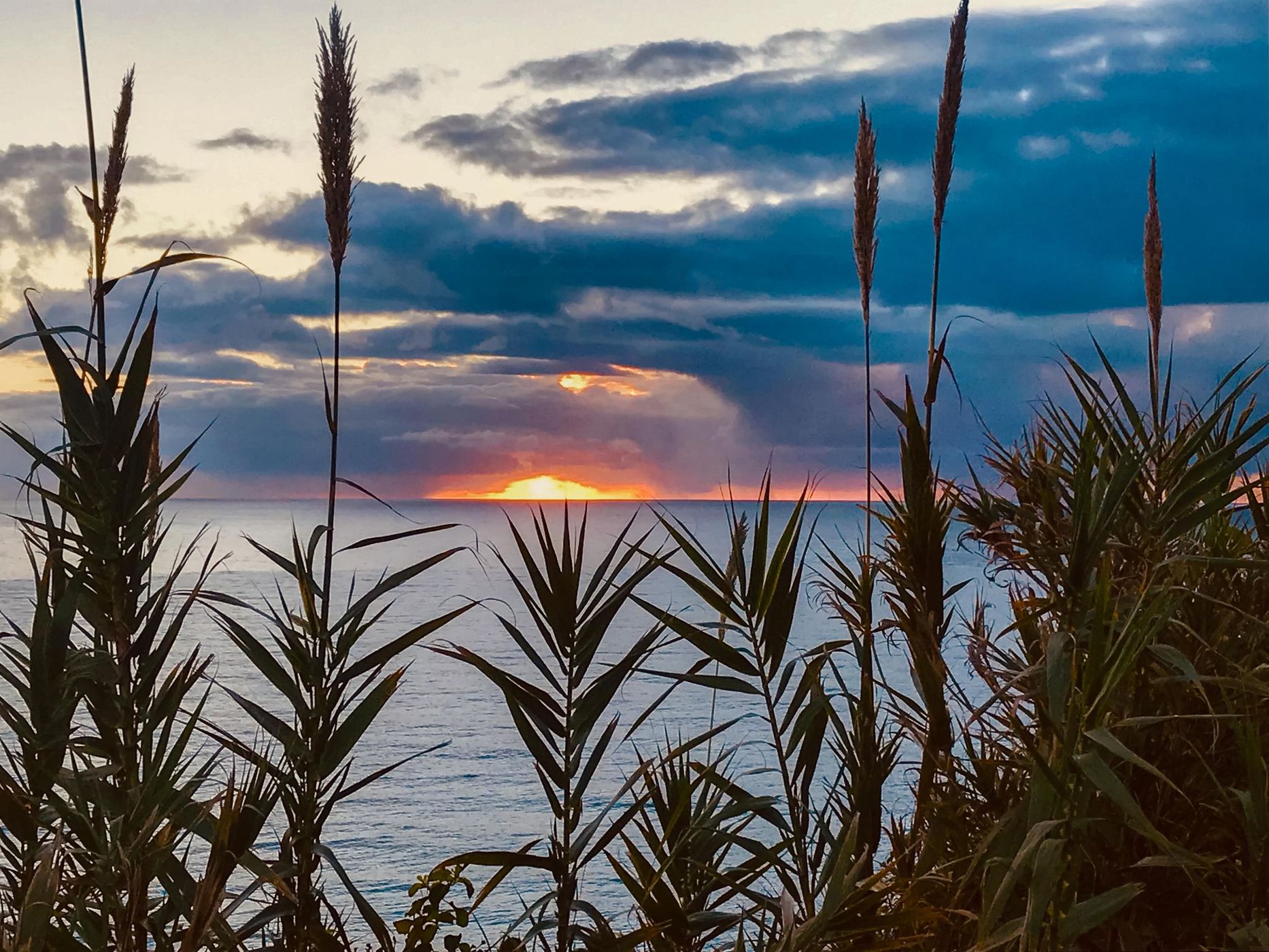 Sunrise Bungan Beach Sydney, Australia