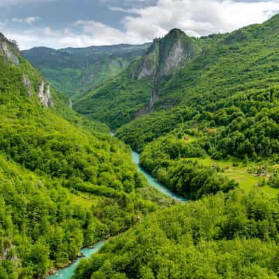 Tara canyon, Montenegro