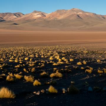 Tayka del Desierto, Bolivia