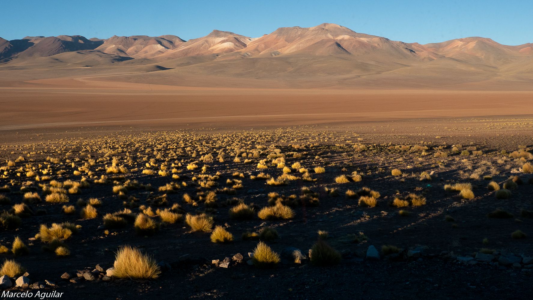 Tayka del Desierto, Bolivia