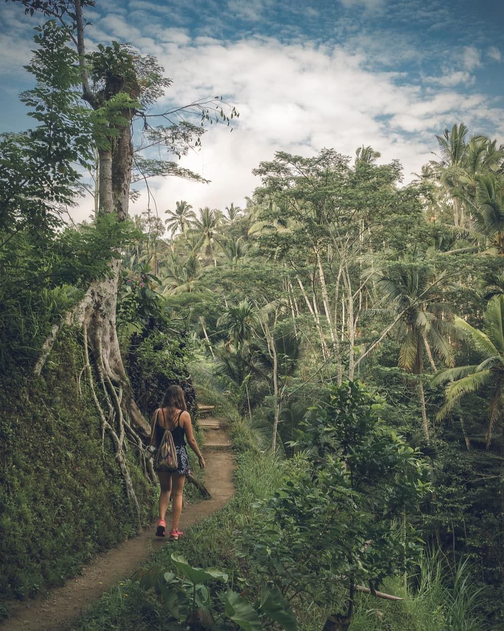 Tegallalang rice terraces, Indonesia