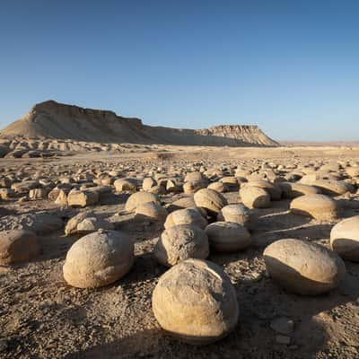 The Bulbus Field, Israel