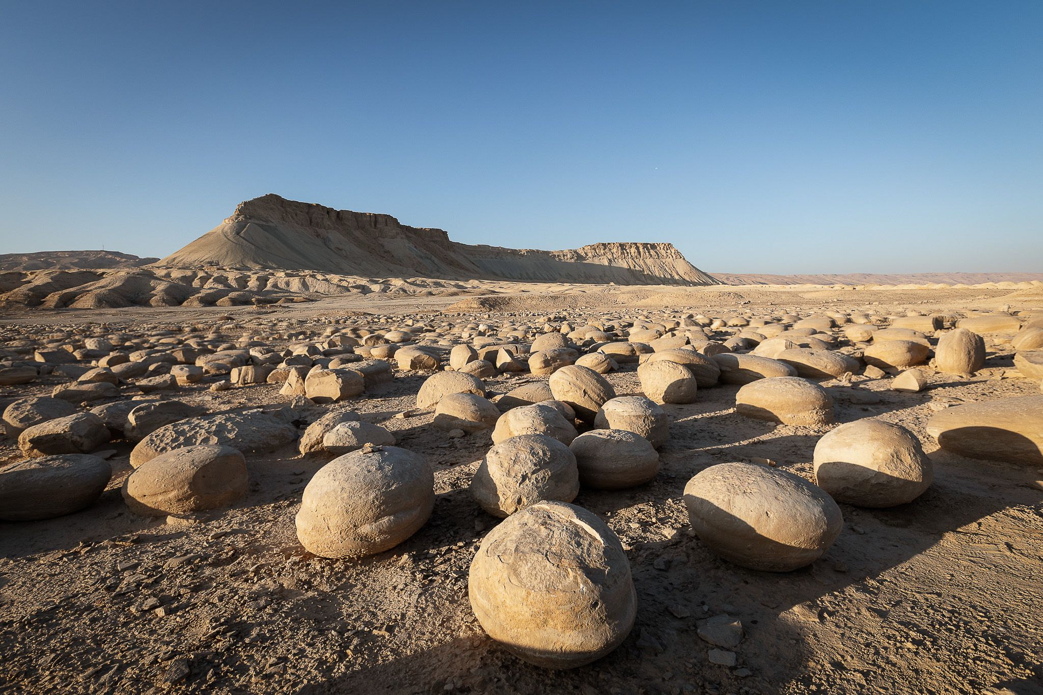 The Bulbus Field, Israel