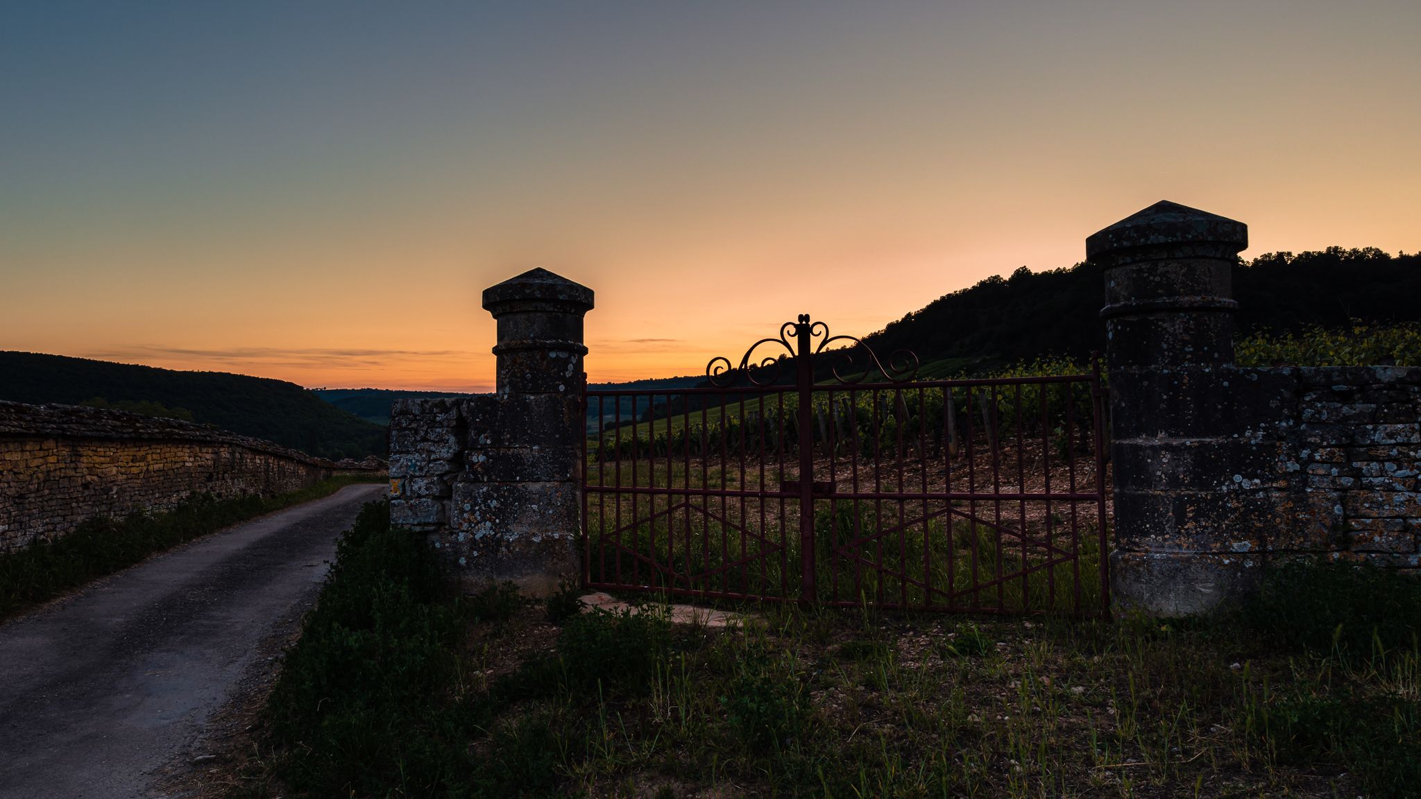 The vineyards after sunset..., France