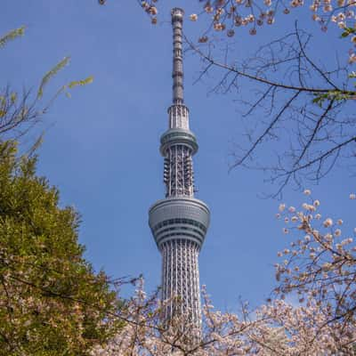 Tokyo Skytree, Japan