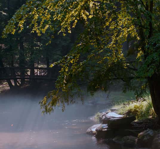 Tom's Run and Footbridge