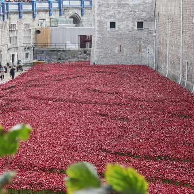 Tower of London, United Kingdom