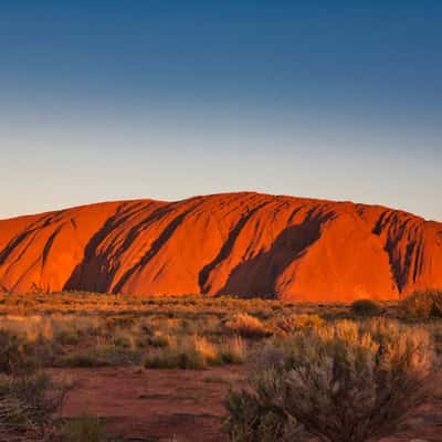 Uluru at sunset, Australia