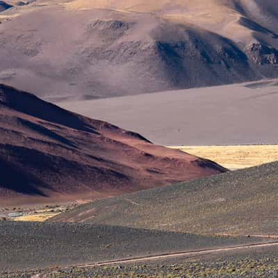 Vega colorada, Argentina